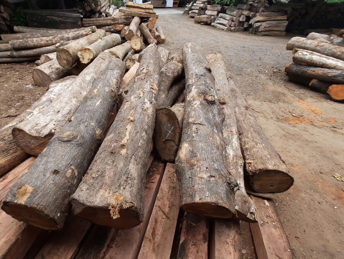 Grumes de teck alignées au parc à bois
